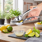 stainless steel handheld citrus juicer