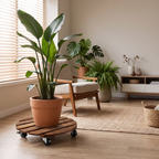 plant caddy / plant mover with wheels