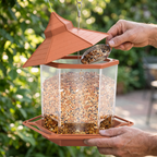 hanging bird feeder