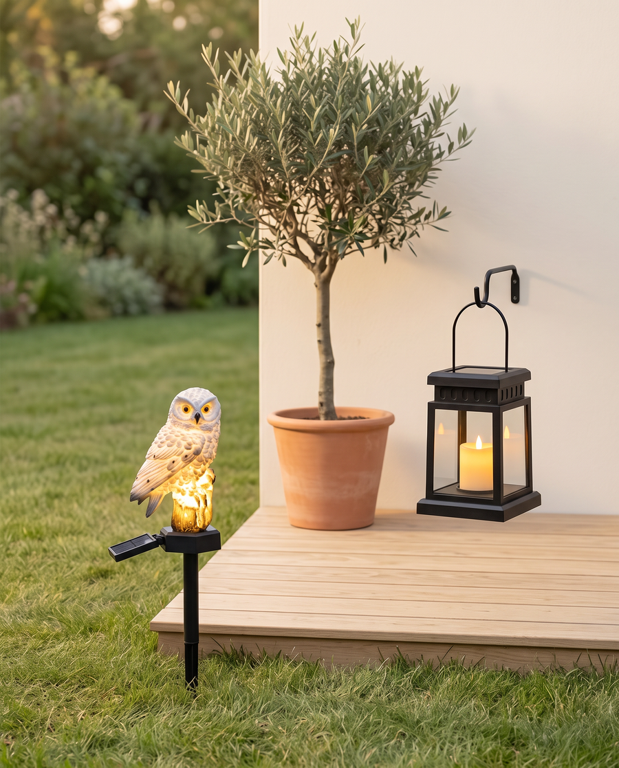 Outdoor & Garden